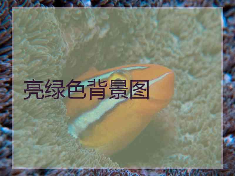亮绿色背景图