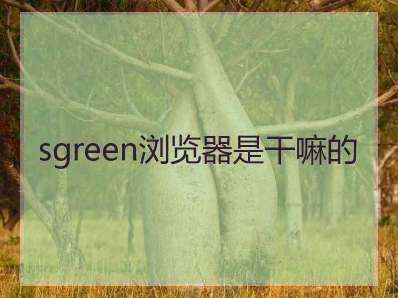 sgreen浏览器是干嘛的