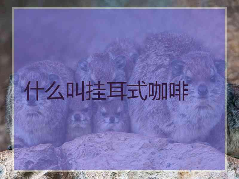 什么叫挂耳式咖啡