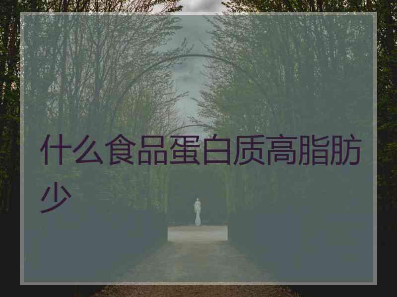 什么食品蛋白质高脂肪少
