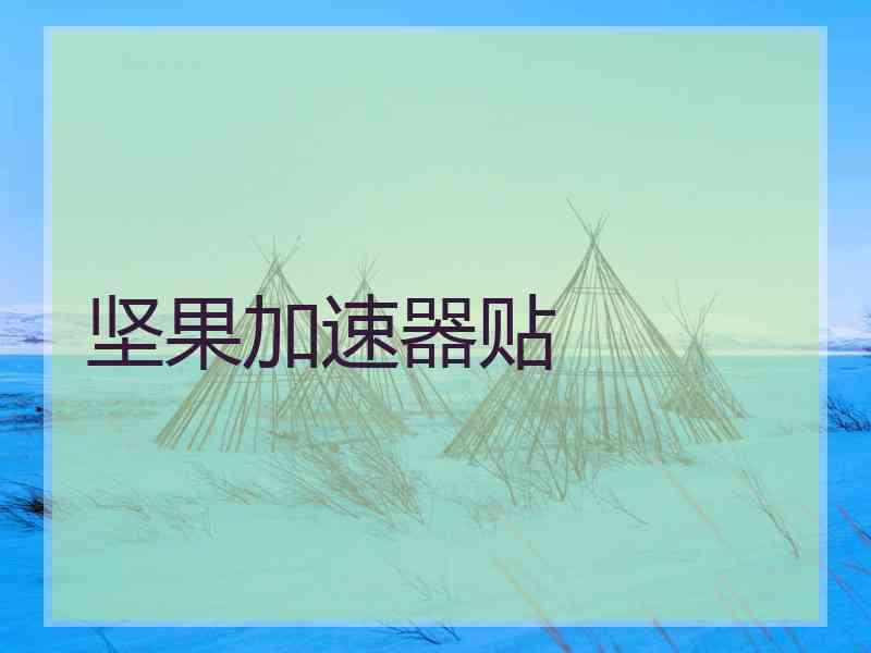 坚果加速器贴
