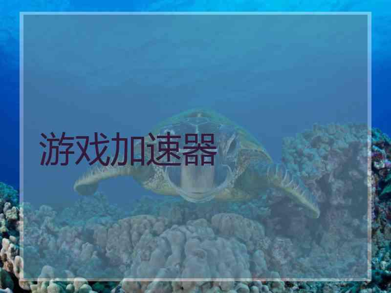 游戏加速器