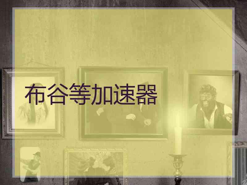 布谷等加速器
