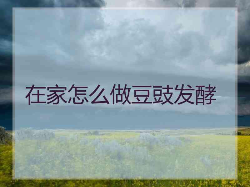 在家怎么做豆豉发酵