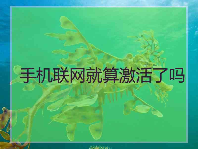 手机联网就算激活了吗
