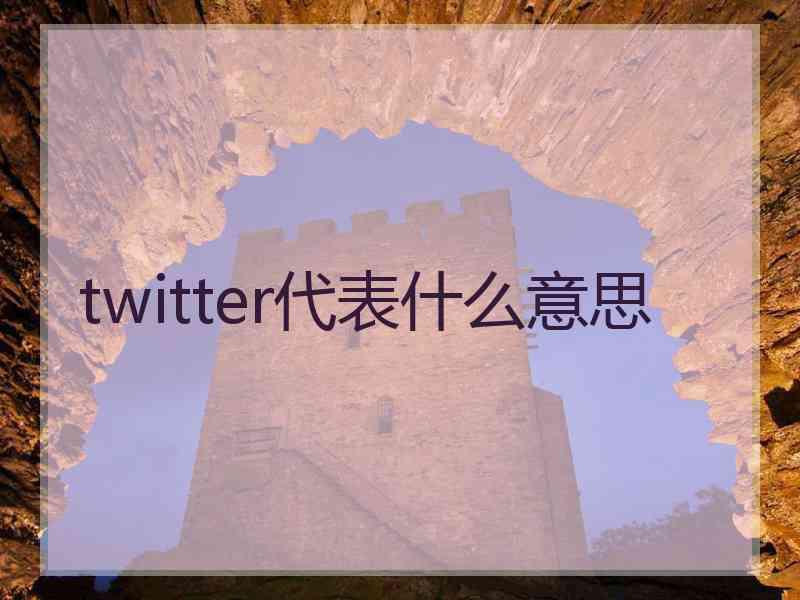 twitter代表什么意思