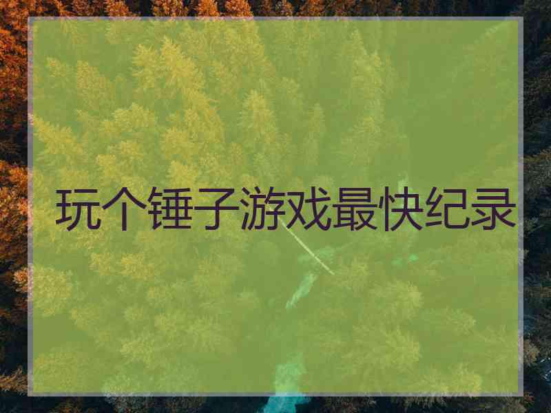 玩个锤子游戏最快纪录