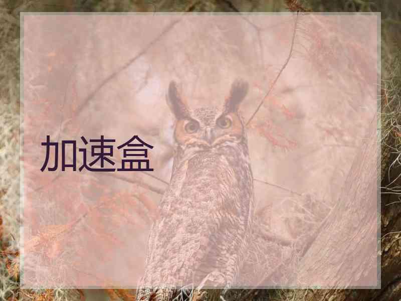 加速盒
