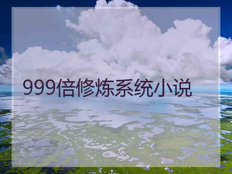 999倍修炼系统小说