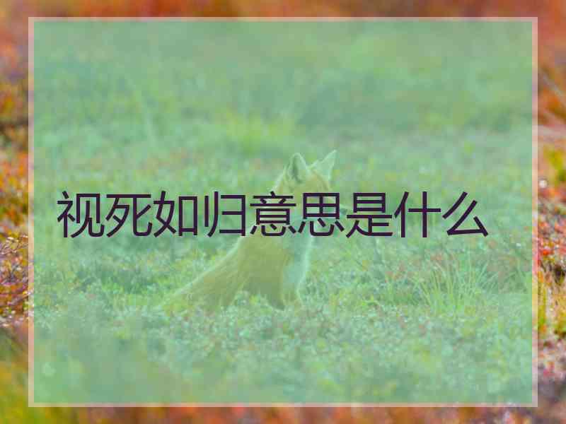 视死如归意思是什么