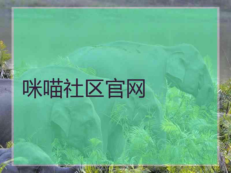 咪喵社区官网