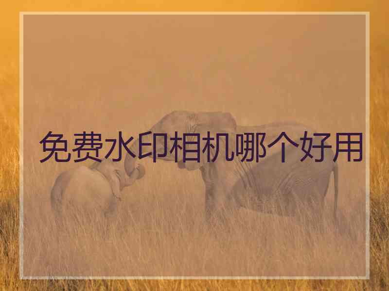 免费水印相机哪个好用