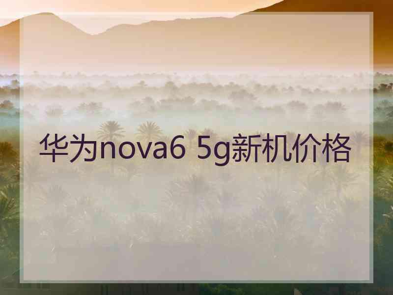 华为nova6 5g新机价格