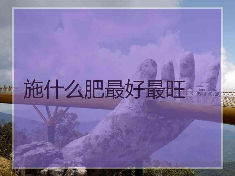 施什么肥最好最旺