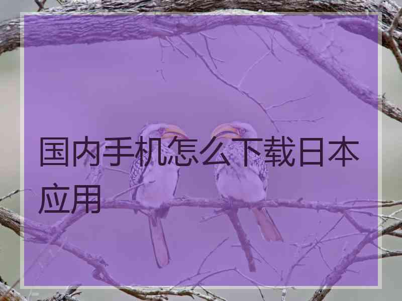 国内手机怎么下载日本应用