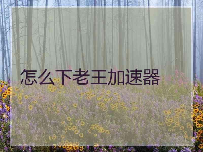 怎么下老王加速器