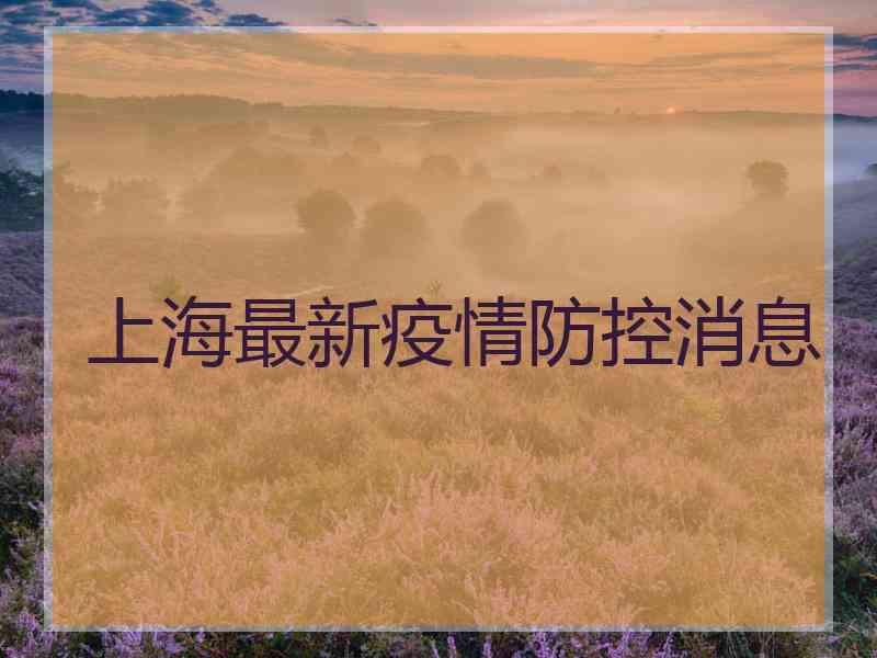 上海最新疫情防控消息