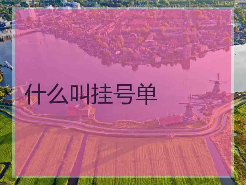 什么叫挂号单