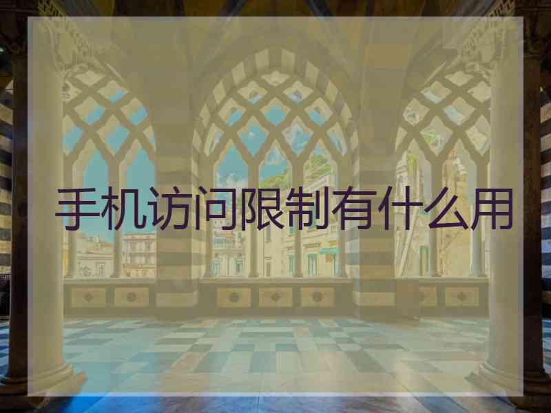 手机访问限制有什么用