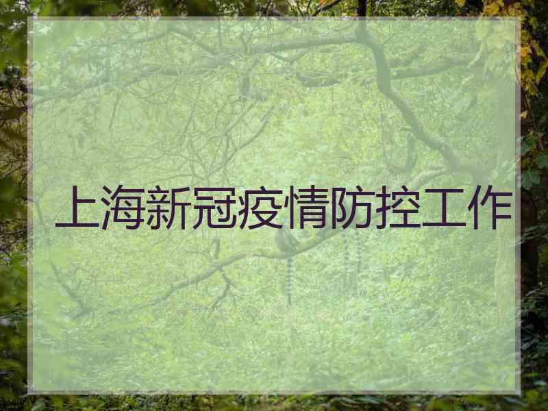 上海新冠疫情防控工作