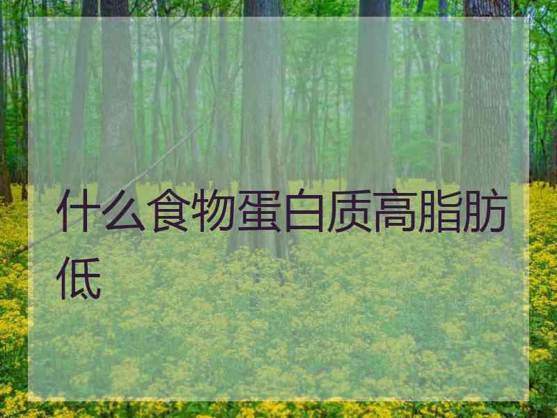 什么食物蛋白质高脂肪低