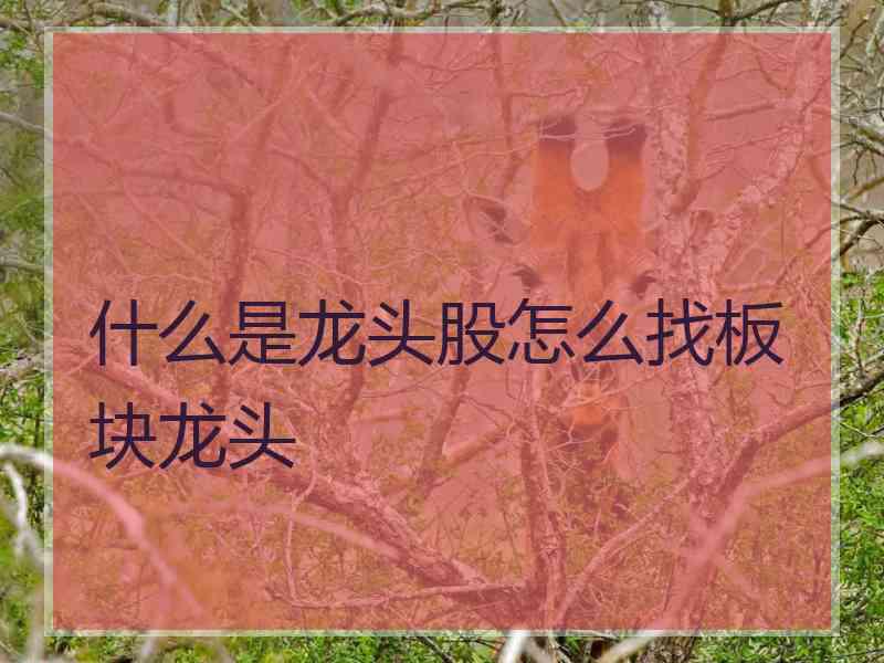 什么是龙头股怎么找板块龙头
