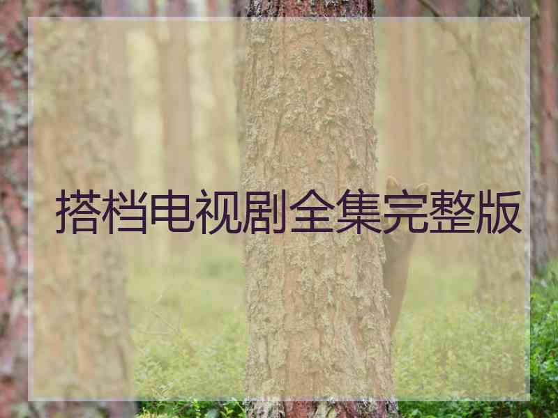 搭档电视剧全集完整版