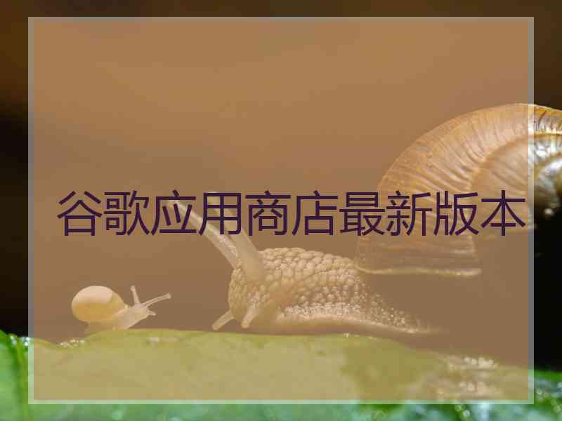 谷歌应用商店最新版本