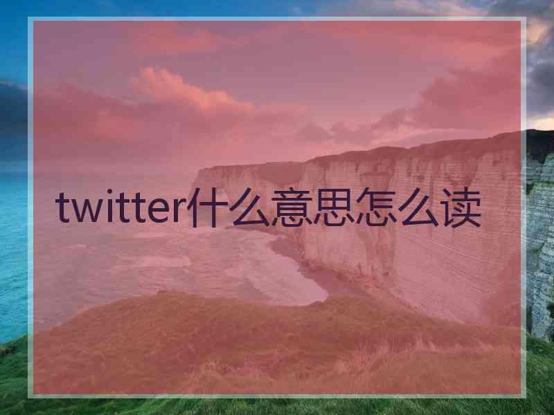 twitter什么意思怎么读