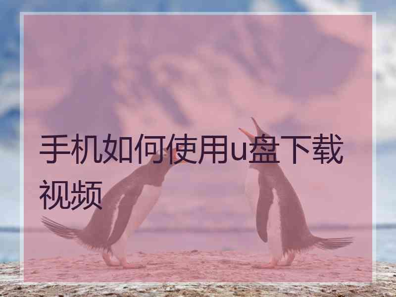 手机如何使用u盘下载视频