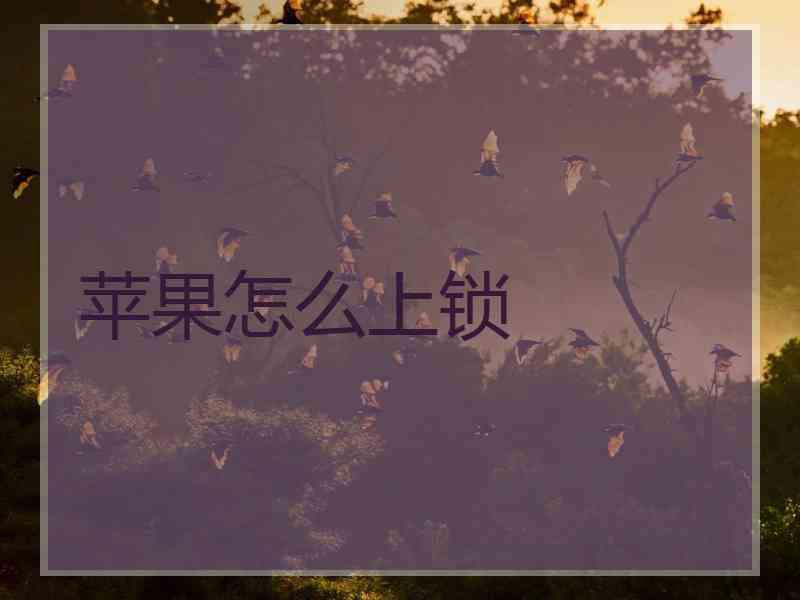 苹果怎么上锁