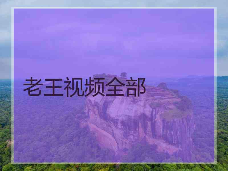 老王视频全部