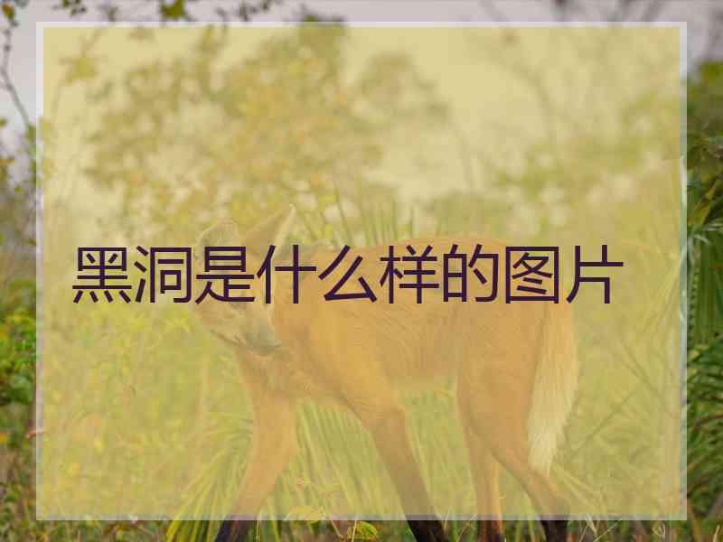 黑洞是什么样的图片