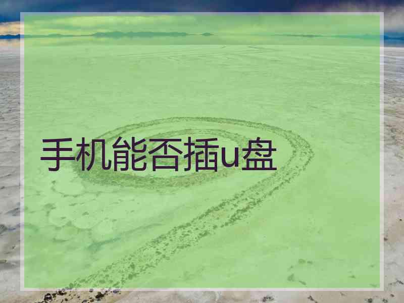 手机能否插u盘
