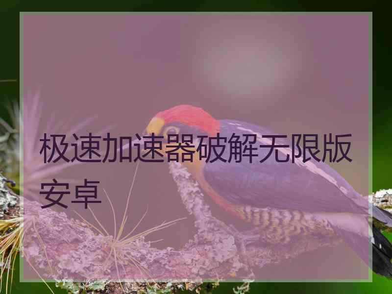 极速加速器破解无限版安卓