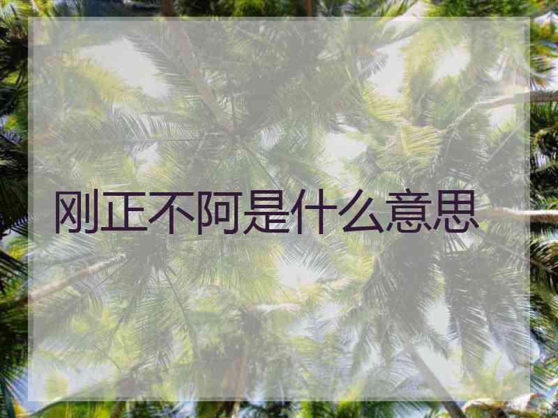 刚正不阿是什么意思