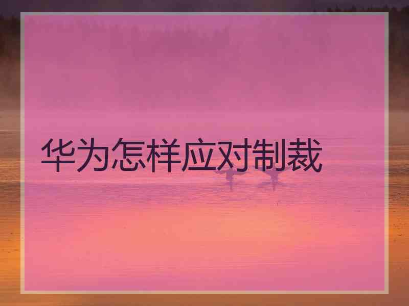 华为怎样应对制裁