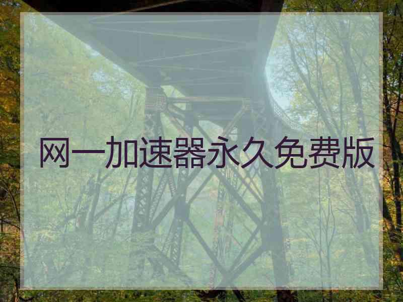 网一加速器永久免费版