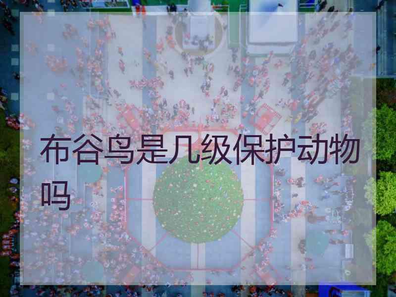 布谷鸟是几级保护动物吗