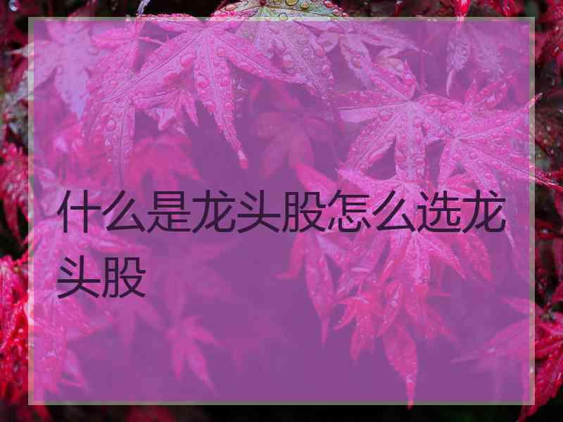 什么是龙头股怎么选龙头股