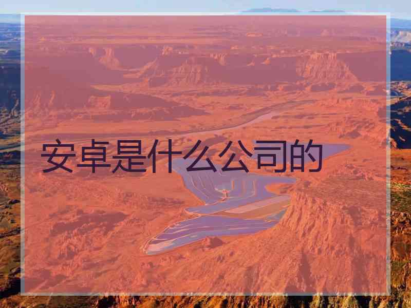 安卓是什么公司的