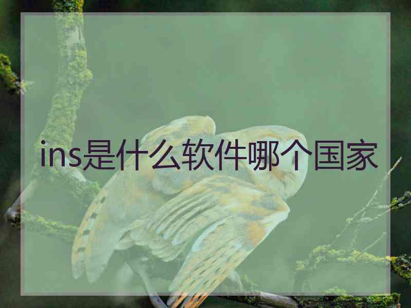 ins是什么软件哪个国家