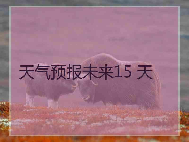 天气预报未来15 天
