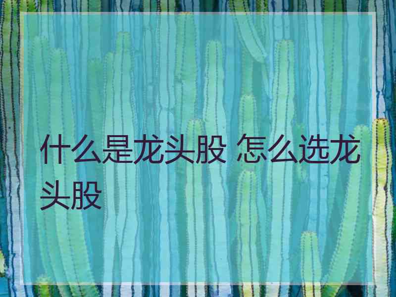 什么是龙头股 怎么选龙头股