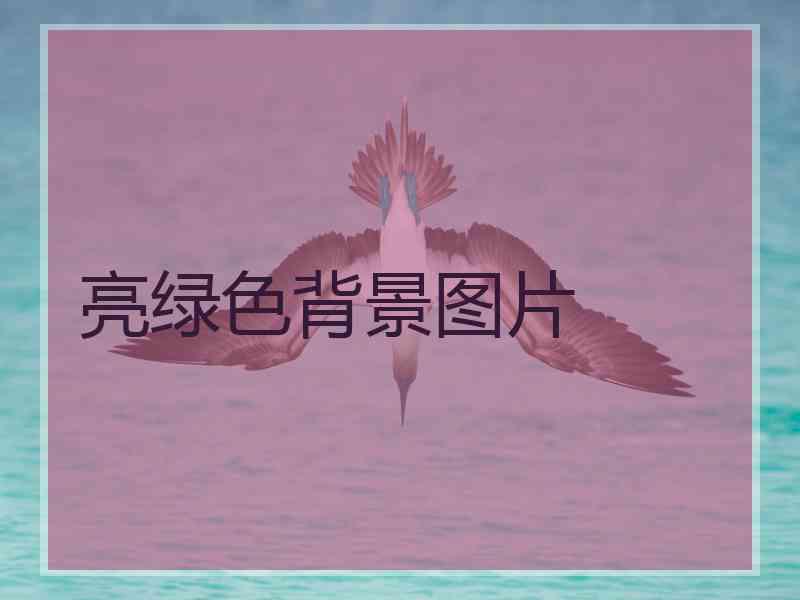 亮绿色背景图片