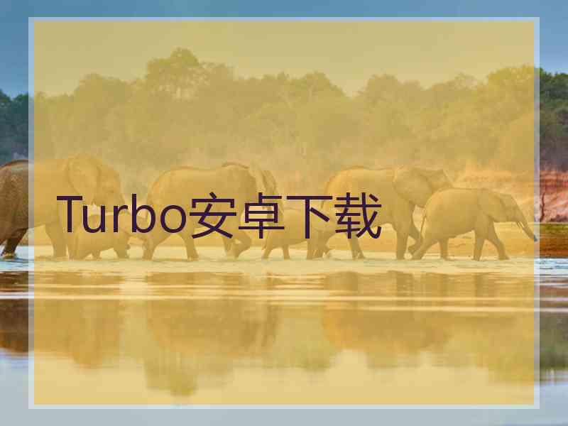 Turbo安卓下载