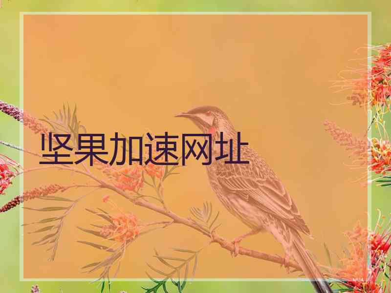 坚果加速网址