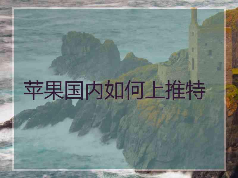 苹果国内如何上推特