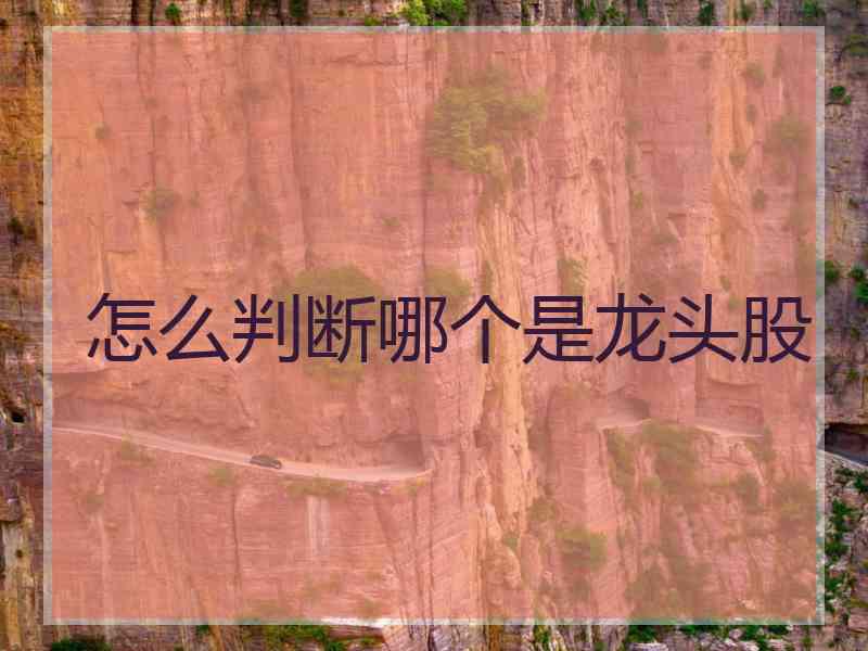 怎么判断哪个是龙头股