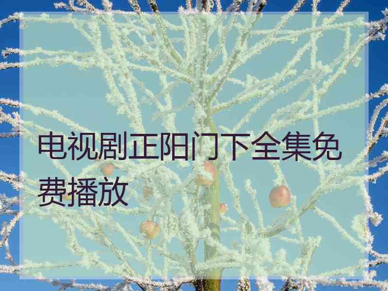电视剧正阳门下全集免费播放